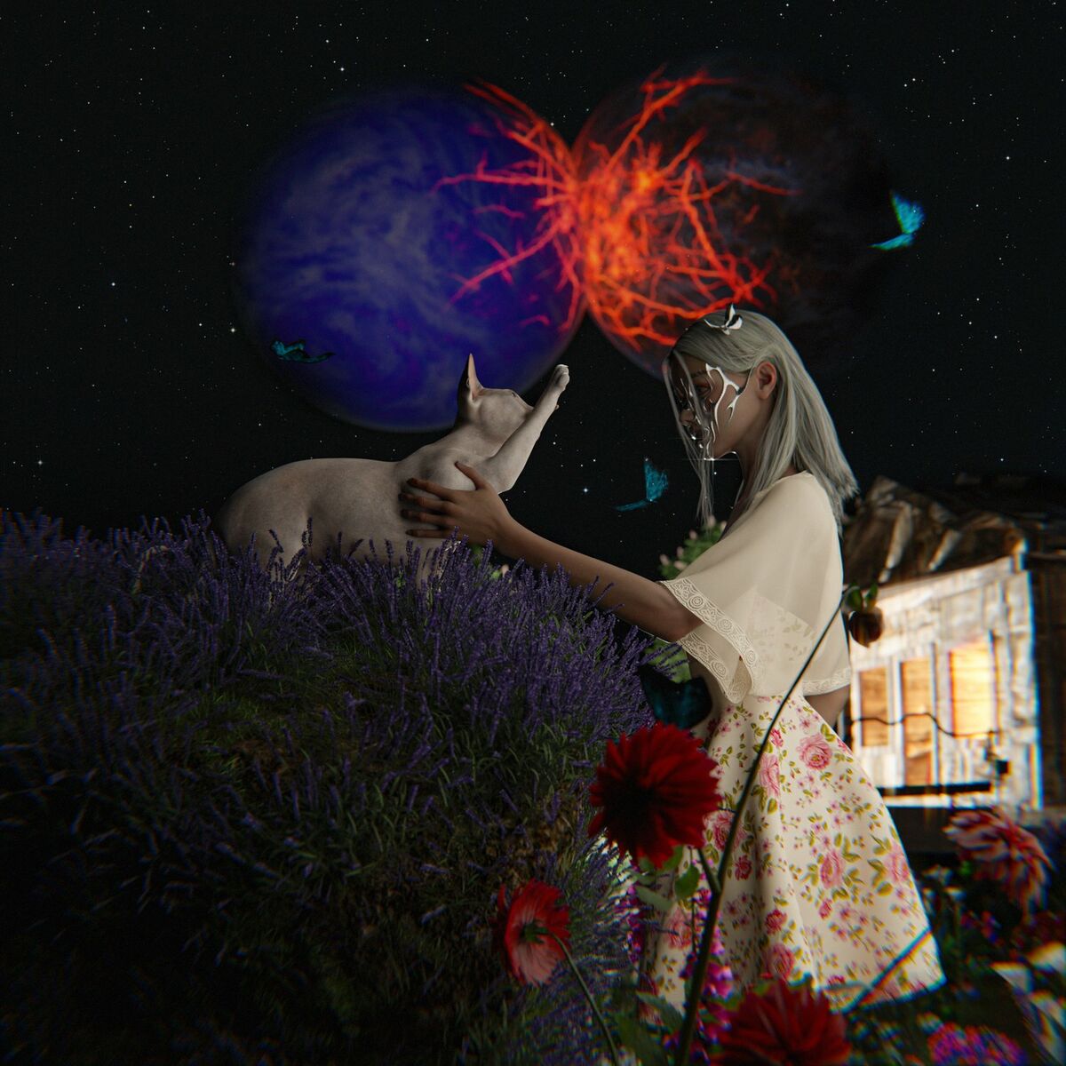 Next Album Art